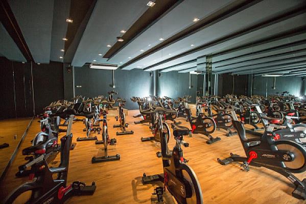 Alpha Health Club