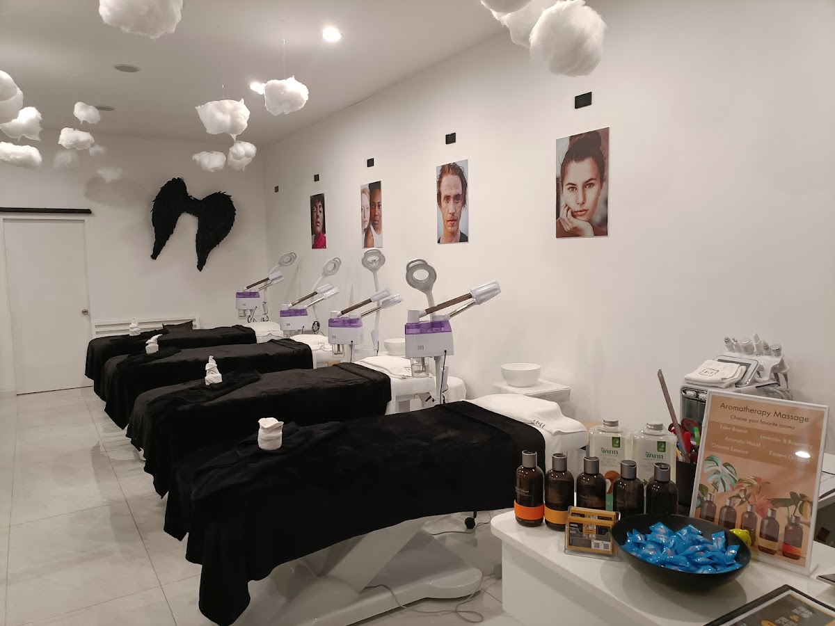 The face and body studio
