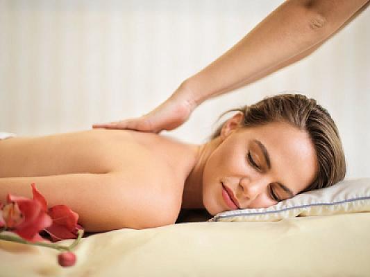 Chiang Mai Wellness Retreat